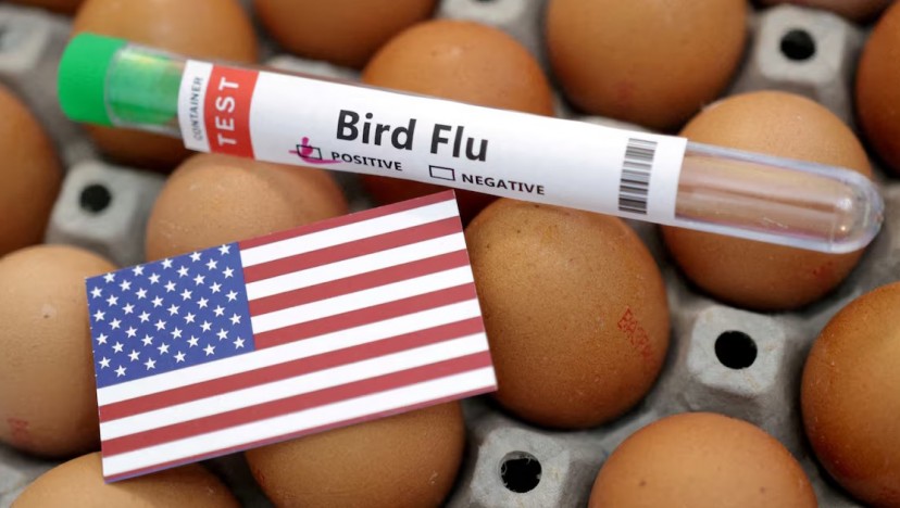 US CDC confirms H5N1 bird flu in a child in California