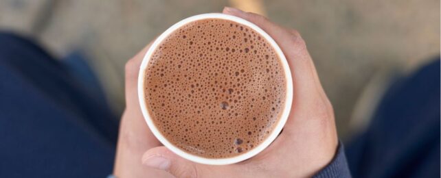 Drinking Cocoa May Protect Your Body From Fatty Foods And Stress